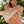 Load image into Gallery viewer, Coco Empire Towel Pink Brick